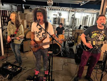 Medicine Fish to Perform at Long Island Music & Entertainment Hall of Fame show poster