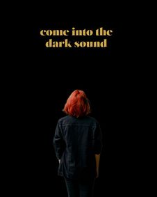 In the dark show poster