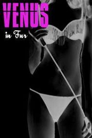 Venus in Fur show poster