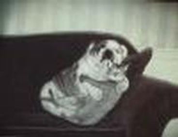 JOHN SPILLANE show poster