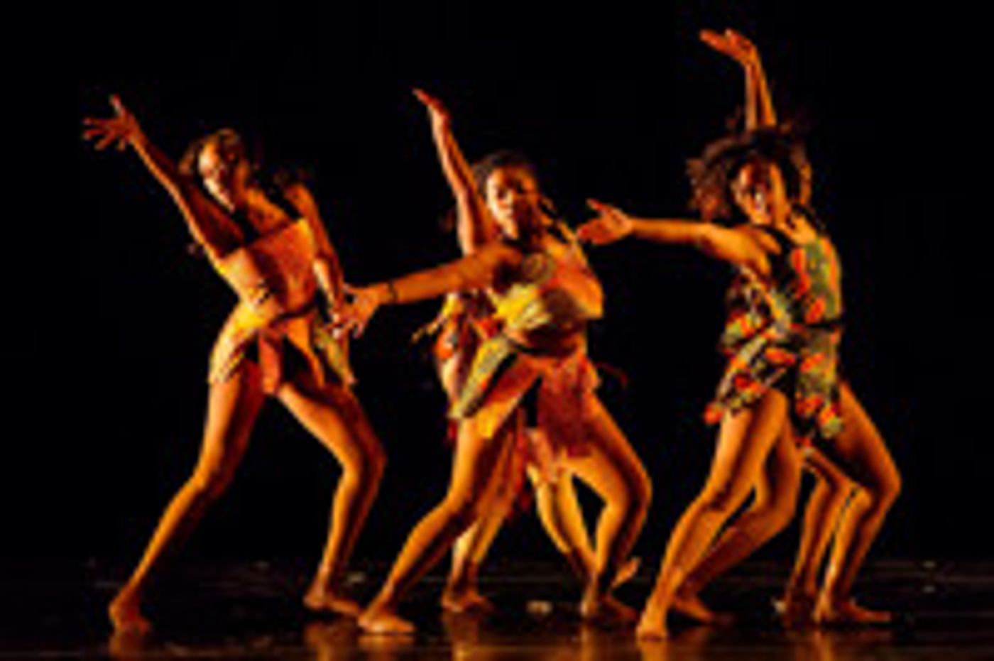 SHARK TANK THE MUSICAL & More Lead Chicago's March Top Picks  Image