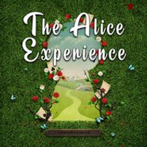 The Alice Experience