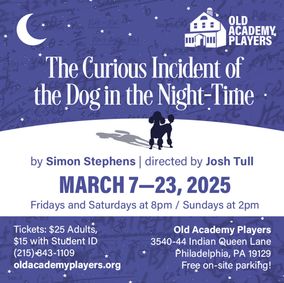 The Curious Incident of the Dog in the Night-time show poster