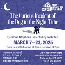 The Curious Incident of the Dog in the Night-time