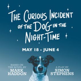 The Curious Incident of the Dog in the Night-Time show poster