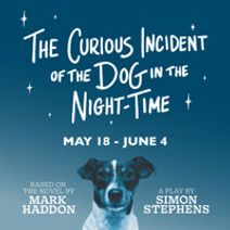 The Curious Incident of the Dog in the Night-Time