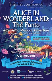 Alice in Wonderland: The Panto show poster