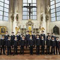 Vienna Boys Choir: Christmas in Vienna  Logo