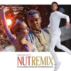 NutRemix show poster