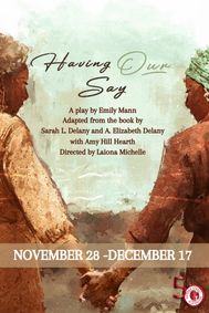 Having Our Say show poster