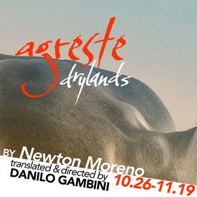 Agreste (Drylands) show poster