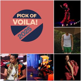 Pick of Voila show poster