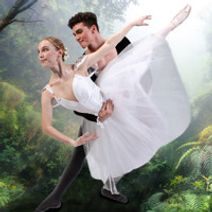 Fairies, Swans, and Still Waters