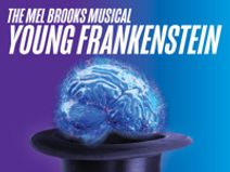 The Mel Brooks Musical Young Frankenstein