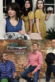 1959 Pink Thunderbird show poster