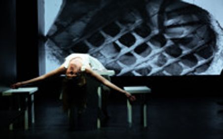 Near To The Wild Heart show poster