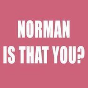 Norman Is That You? show poster