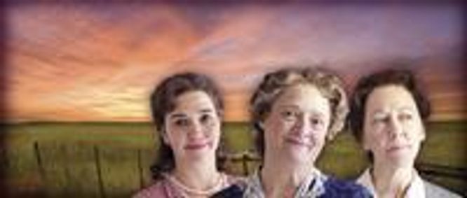 The Carpetbagger's Children show poster