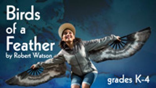 Birds of a Feather show poster