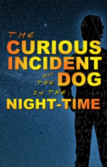 The Curious Incident of the Dog in the Night-Time