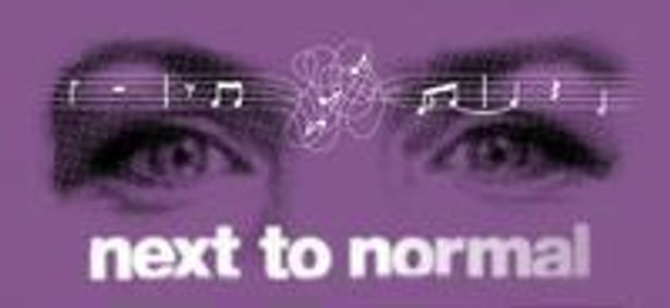 next to normal show poster