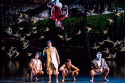 Creature: an adaption of Dot and the Kangaroo show poster