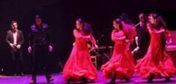 Mi Alborada show poster