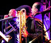 Projecto 7 Salsa and Latin Jazz Band