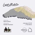 Godbird in Off-Off-Broadway