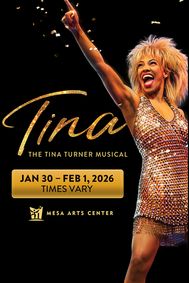 TINA - The Tina Turner Musical (Touring) show poster