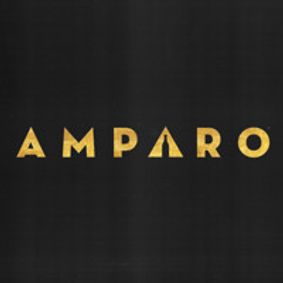 The AMPARO Experience  show poster