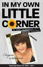 In My Own Little Corner show poster