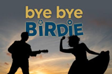 Bye Bye Birdie show poster