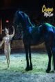 Cirque MaCeo - Battle Ground - July in Seattle