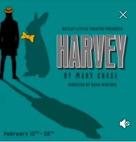 Harvey show poster