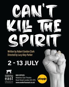 Can't Kill the Spirit show poster