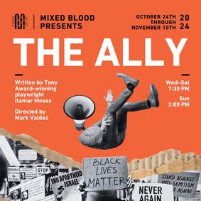 The Ally  show poster