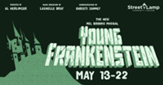 Young Frankenstein show poster