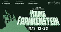 Young Frankenstein