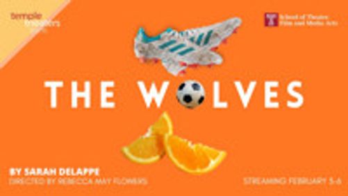 THE WOLVES show poster