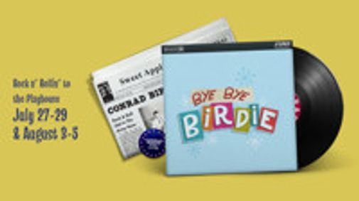 Bye Bye Birdie show poster