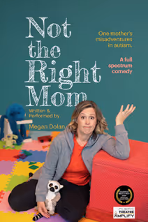 Not the Right Mom Written & Performed by Megan Dolan