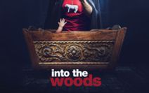 Into the Woods