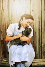 The Wizard of Oz show poster