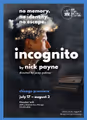 Incognito in Chicago
