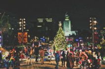 The Los Angeles County Tree Lighting Ceremony