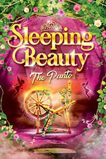 Sleeping Beauty: The Panto
