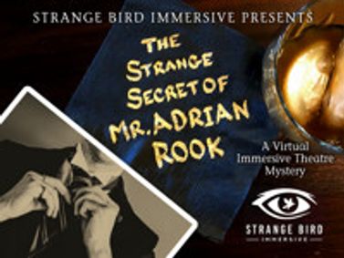 The Strange Secret of Mr. Adrian Rook show poster