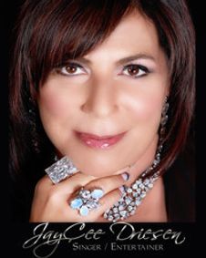 An Evening With JayCee Driesen show poster