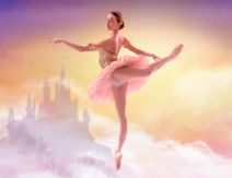 Sleeping Beauty Awakened 